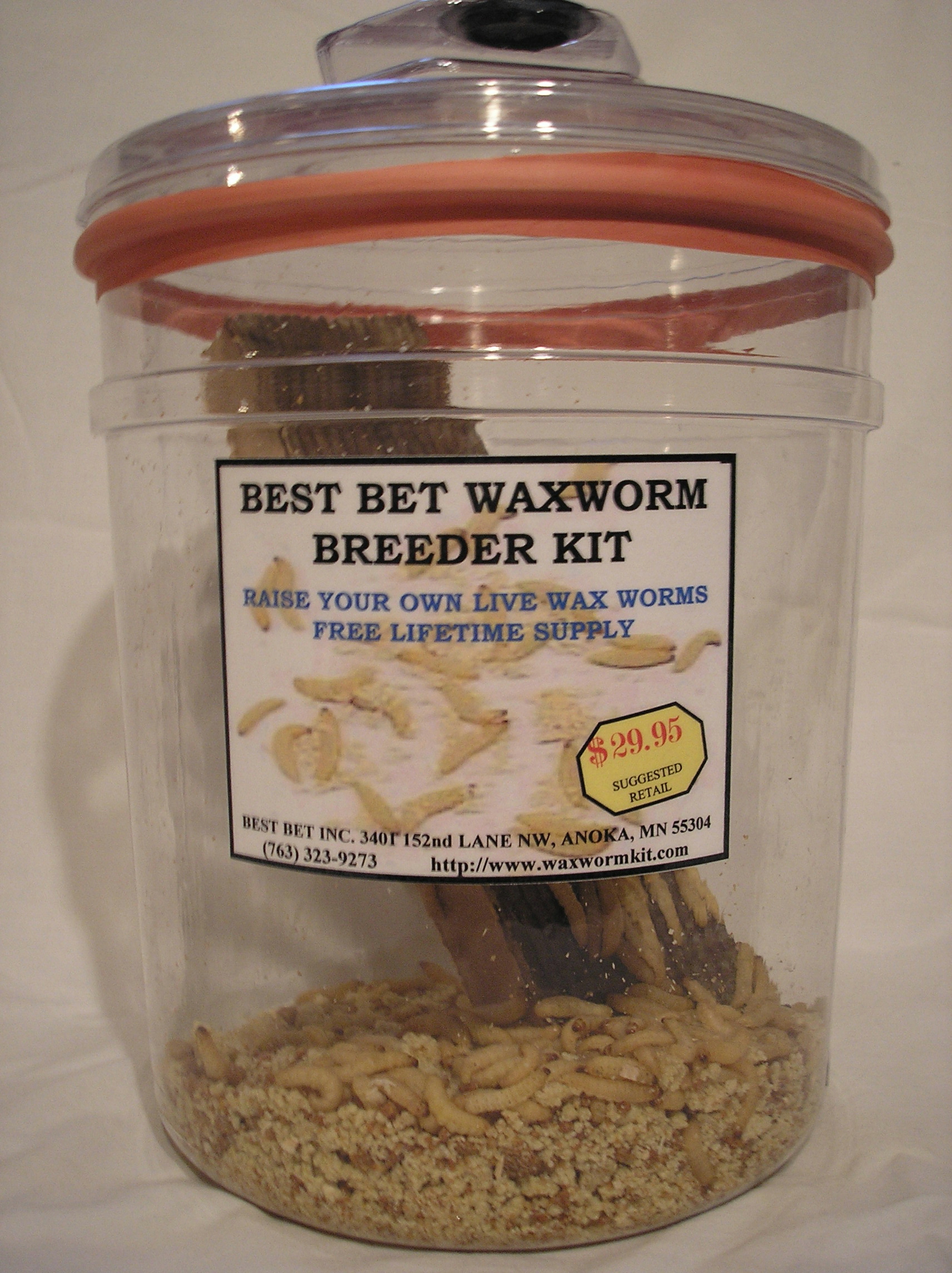 Mealworm Breeder Kit [mwbk] 24.95 Wholesale Waxworms & Bait