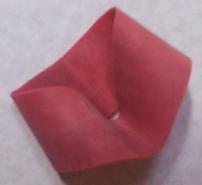 Replacement reusable breeder kit container seal