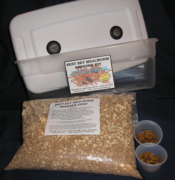 2 Tubs of 250 Live Wax Worms Bee Moth Live Bait 